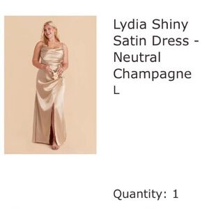Birdy Grey Lydia Shiny Satin Dress in Champagne